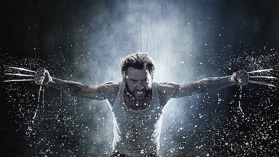 Fondo de pantalla de Wolverine, películas, X-Men Origins: Wolverine, Wolverine, Hugh Jackman, Fondo de pantalla HD HD wallpaper