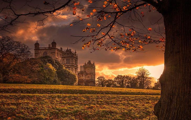 brown castle wallpaper, autumn, light, castle, tree, England, Palace, HD wallpaper