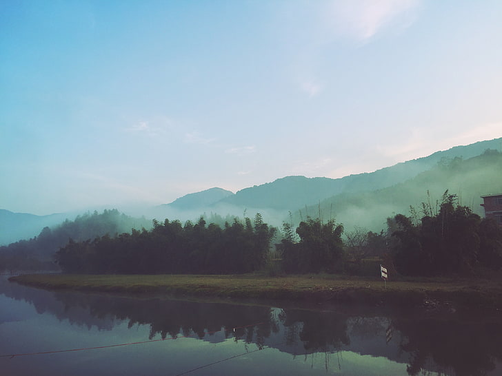 grünblättriger Baum, Nebel, Fluss, Morgen, HD-Hintergrundbild