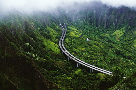 серый мост, природа, пейзаж, деревья, вид с высоты птичьего полета, шоссе, мост, горы, лес, дом, туман, долина, холмы, тропический лес, туннель, HD обои HD wallpaper