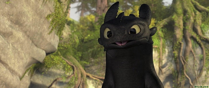 Movie, How To Train Your Dragon, Toothless (How to Train Your Dragon), HD wallpaper HD wallpaper