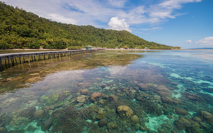 Pulau Papua Di Indonesia 0752, Wallpaper HD