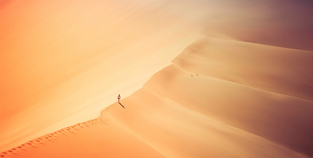 landscape photography of person standing on desert, bel, bel, Bel, Walk, landscape photography, Africa, Namibia, com, Artist, Workshop, Horizontal, Colour, Color, Desert, Dunes, Walking, Yoga, Orange, Yellow, Purple, Black  Sand, Sand  Mountain, tutorial, HDR Photography, Outdoor, Outdoors, Outside, People, Person, Lonely, Sony  ILCE-7R, sand Dune, sand, nature, adventure, landscape, dry, HD wallpaper HD wallpaper