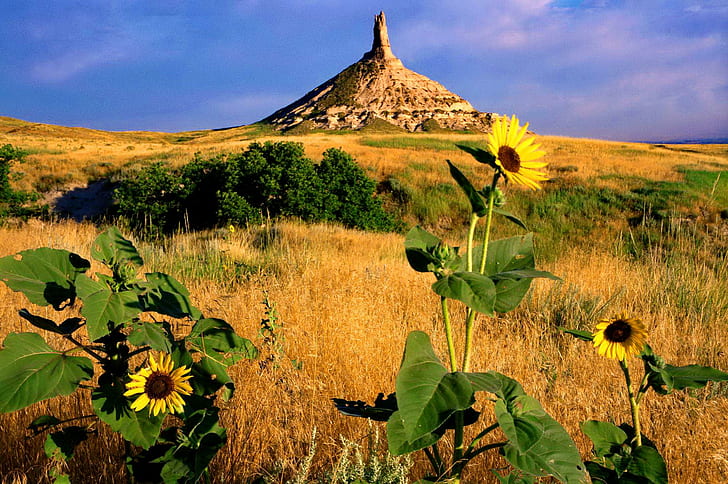 Nebraska L, lovely, stones, meadow, sunny, land, nice, state, beautiful, flowers, rocks, field, nebraska, pretty, HD wallpaper