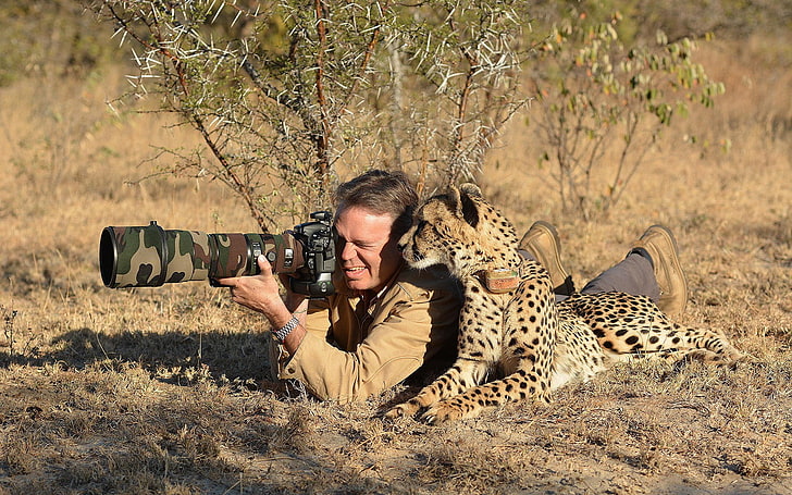 brun jacka, djur, natur, fotograf, kamouflage, gepard, HD tapet
