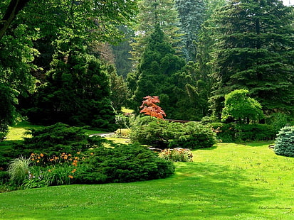 مشمس حديقة حقل العشب الأخضر طبيعة حديقة الأشجار ربيع جميل HD ، طبيعة ، أشجار ، أخضر ، جميل ، عشب ، حقل ، حديقة ، ربيع، خلفية HD HD wallpaper