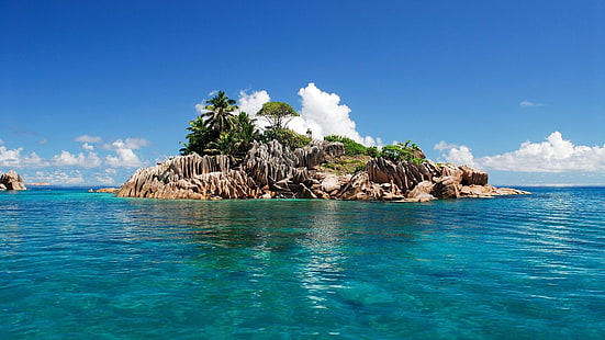 арболи, isla, mar, naturaleza, HD тапет HD wallpaper