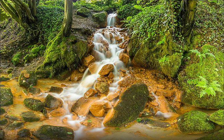 Hermosas rocas de la cascada con color marrón costa verde musgo árboles helecho hd fondo de pantalla para escritorio 3840 × 2400, Fondo de pantalla HD