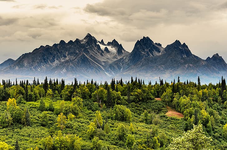 Денали, Аляска, 500 пиксела, планини, дървета, Джеси Кокс, HD тапет