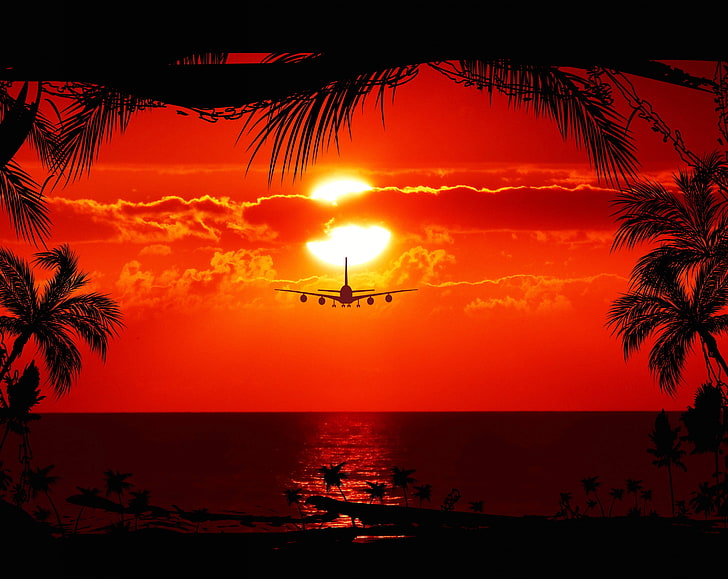 Red Tropical Sunset, sunset, Seasons, Summer, Ocean, Beach, Nature, Paradise, Sunset, Island, Water, Tropical, Silhouette, Flight, Airplane, Symbol, Holiday, Romantic, Clouds, Aircraft, Graphic, palmtrees, HolidayDestination, PhotoGraphics, HD wallpaper