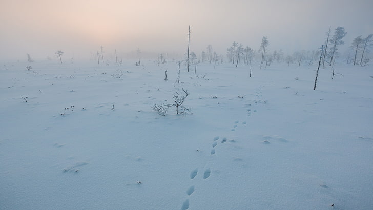 permukaan es, musim dingin, salju, lanskap, tenang, dingin, tundra, Wallpaper HD