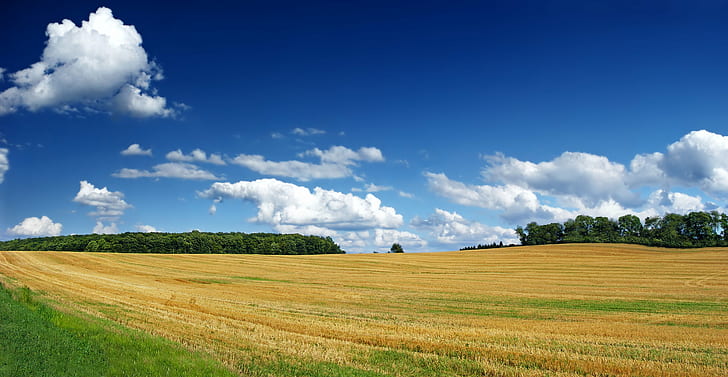 панорамна снимка на оризово поле, Xanthophyll, панорама, снимка, оризово поле, Пенсилвания, окръг Lehigh, графство Lynn, Lehigh Valley, пейзаж, облаци, купчини, селски, ярка светлина, креативни общности, природа, селско стопанство, селски сцена, поле, лято , ферма, небе, синьо, на открито, ливада, земя, облак - небе, живопис, трева, озеленен, сезон, HD тапет
