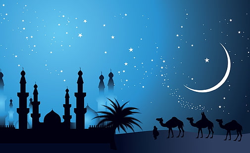 Аравийский ночной дизайн, силуэт мечети, векторное фото, Аэро, Вектор Арт, Ночь, Дизайн, Арабский, HD обои HD wallpaper