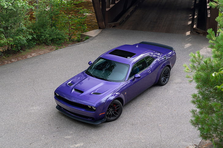 purple, Dodge, Challenger, R-T Scat Pack, HD wallpaper