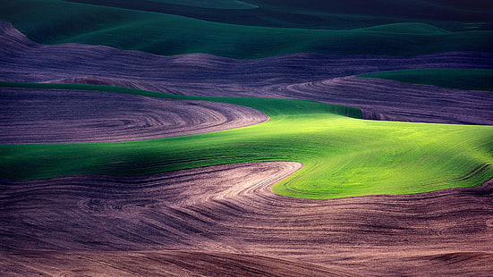 natureza, paisagem, grama, fazenda, campo, Palouse, Washington, EUA, HD papel de parede HD wallpaper