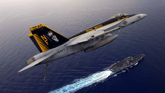 F-18 Coming Home, super calabrone, f-18, cairrer, entropia, aerei aeronautici, Sfondo HD HD wallpaper