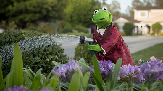 Kermit the Frog, flores, Sesame Street, Los Muppets, Fondo de pantalla HD HD wallpaper