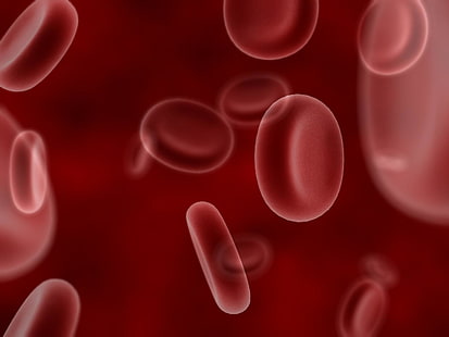Биология крови, эритроциты, 3D, HD обои HD wallpaper