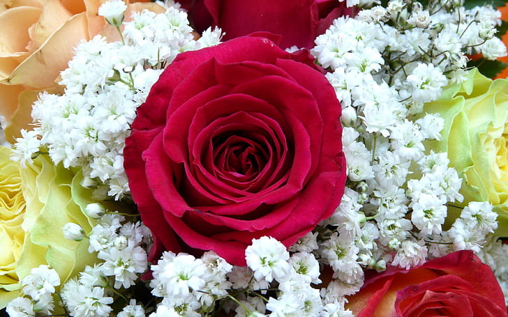 mawar, latar belakang bunga, Bud, Buket, dekorasi, unduh 3840x2400 mawar, Wallpaper HD