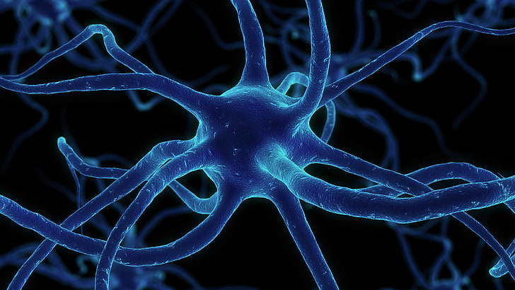 ilustracja niebieski mikroskopijny organizm, sieć, synapsy, neuron, Tapety HD