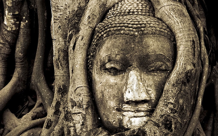 brown and black concrete surface, nature, trees, branch, Buddha, Buddhism, Thailand, monochrome, sepia, sculpture, National Geographic, HD wallpaper