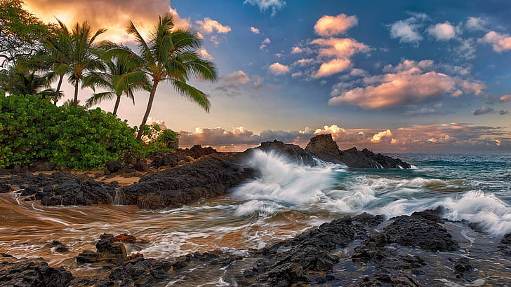 Maui, Hawaii, tranquillo, oceano, rocce, palme, spiaggia, Maui, Hawaii, tranquillo, oceano, rocce, palme, alberi, spiaggia, Sfondo HD