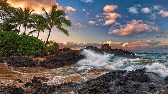 Мауи, Гавайи, тихо, океан, скалы, пальмы, пляж, Мауи, Гавайи, Тихо, океан, скалы, пальмы, деревья, пляж, HD обои HD wallpaper