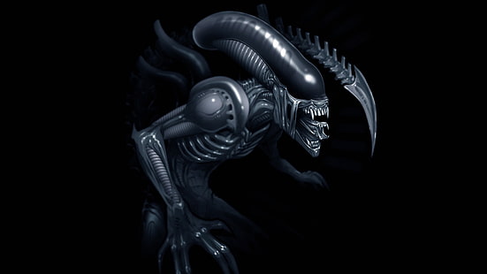 Alien vs Predator hintergrundbild, fremder, ksenomorfov, film, HD-Hintergrundbild HD wallpaper