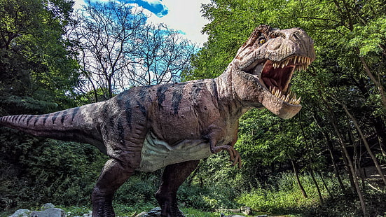 dino, dinosaurus, tyrannosaurus, velociraptor, pohon, t-rex, Wallpaper HD HD wallpaper