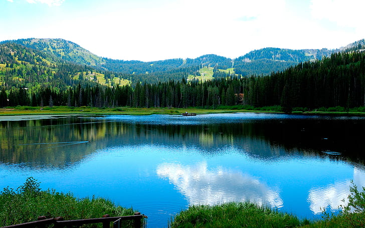 Удивительный вид на озеро и деревья, Природа, Озеро, красивые обои природы, удивительные обои природы, HD обои природы, HD обои