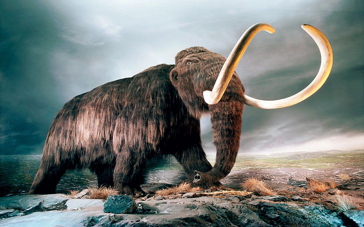Mammut World Of Animals From the Past Hd Wallpaper, HD tapet