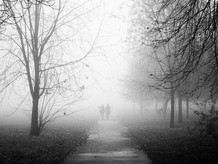 couple walking on pavements with near line of tress, regents park, regents park, Regents Park, Fog, Explored, couple, walking on, pavements, line, tress, london, mist, morning, regents  park, park  street, street  tree, grass, outdoors, tree, nature, forest, autumn, walking, footpath, loneliness, people, mystery, HD wallpaper