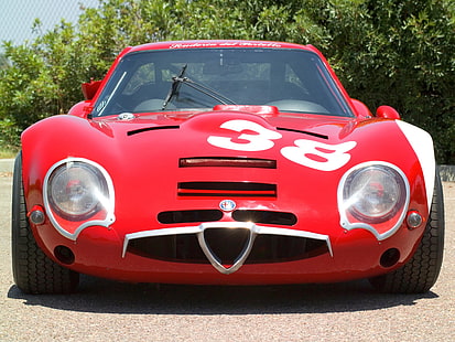 105, 1965, alfa, classic, giulia, race, racing, romeo, supercar, tz2, HD wallpaper HD wallpaper