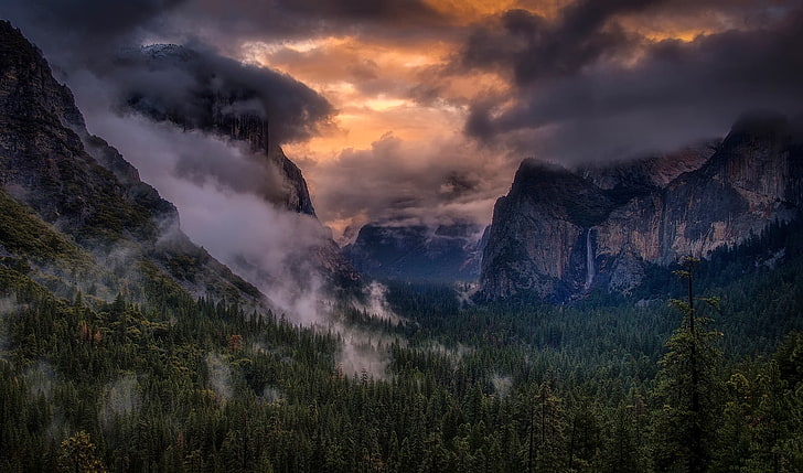 zielone drzewa leśne, przyroda, krajobraz, góry, drzewa, chmury, mgła, światło słoneczne, las, Park Narodowy Yosemite, USA, Tapety HD