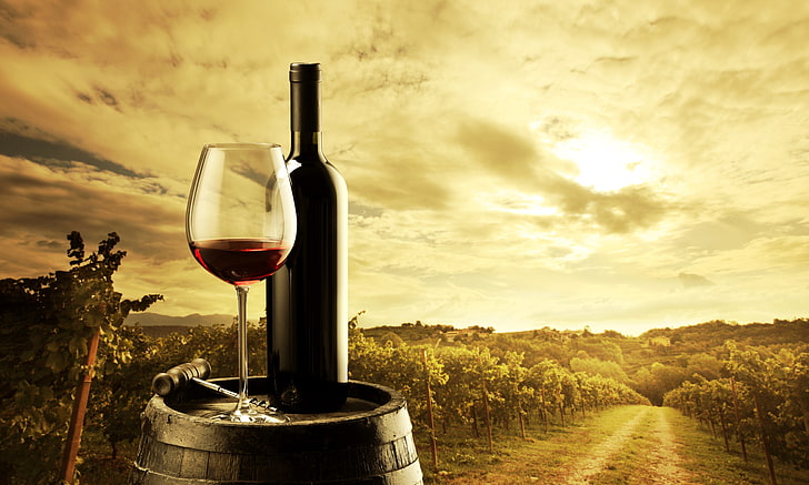 wine glass and bottle, wine, red, glass, bottle, barrel, corkscrew, the vineyards, HD wallpaper