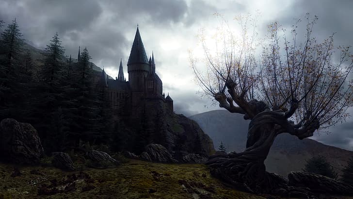 Harry Potter e o Prisioneiro de Azkaban, filmes, fotos de filmes, Hogwarts, Salgueiro Lutador, nuvens, árvores, rochas, castelo, HD papel de parede
