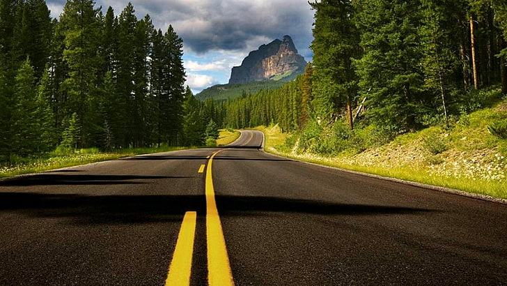 estrada, natureza, asfalto, rodovia, floresta de abetos, floresta, viagem, pinho, céu, pista, árvore, superfície da estrada, HD papel de parede