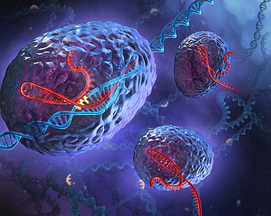 Le cellule spirali della genetica del DNA, Sfondo HD HD wallpaper