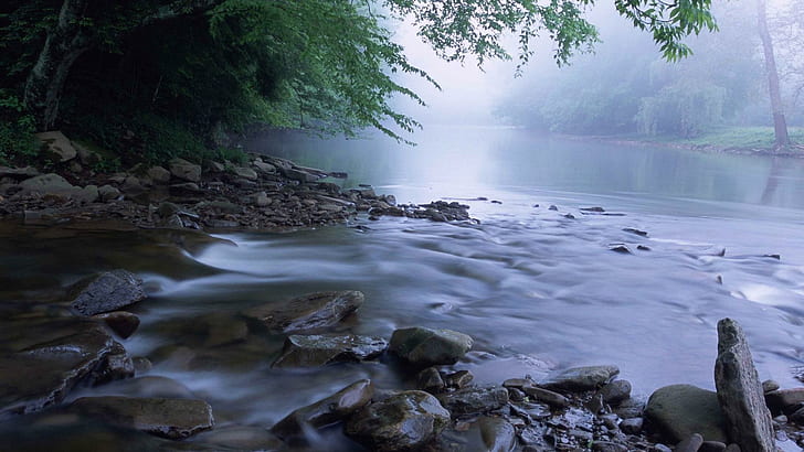 Hile Nehri Batı Virginia'da, orman, nehir, sis, kayalar, doğa ve manzara, HD masaüstü duvar kağıdı
