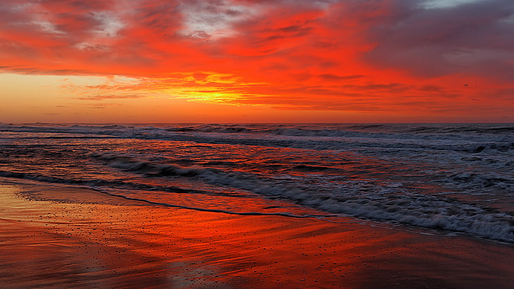 horizon, sea, sky, sunset, afterglow, ocean, red sky, coast, shore, wave, sun, beach, cloud, calm, HD wallpaper