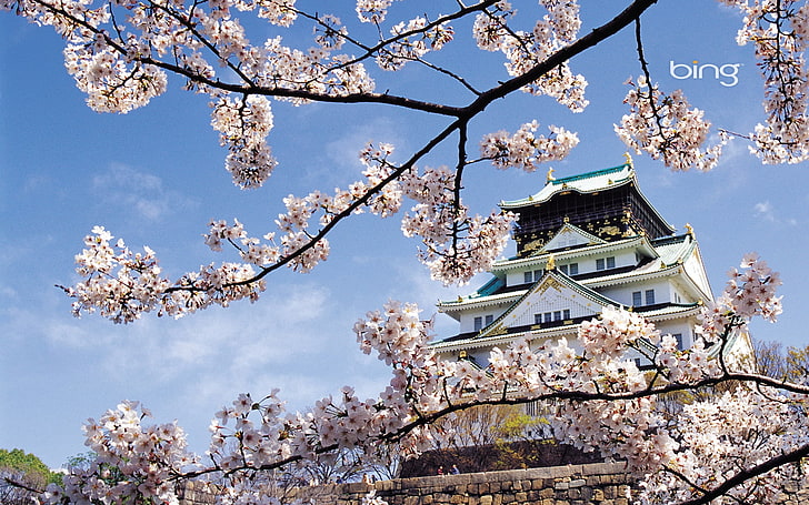 Замъкът от Киото, пролет, череша, цвят, дворец, Япония, архитектура, HD тапет