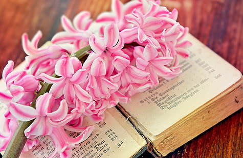 Пролетно цвете Отворена стара книга, реколта, цвете, пролет, розово, цветя, дърво, затваряне, ароматно, зюмбюл, книга, сладко, пролет, натюрморт, пролетно цвете, ароматно цвете, стара книга, HD тапет HD wallpaper