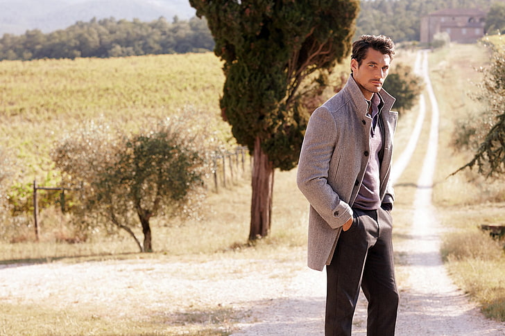 men's gray coat, road, field, trees, nature, model, male, David Gandy, HD wallpaper
