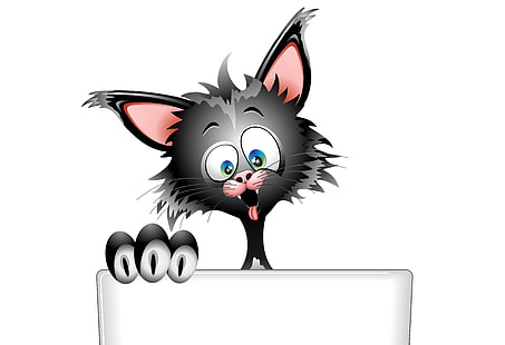 svart katt med laptop illustration, minimalism, digital konst, vit bakgrund, djur, katt, tungor, laptop, vektor, HD tapet HD wallpaper