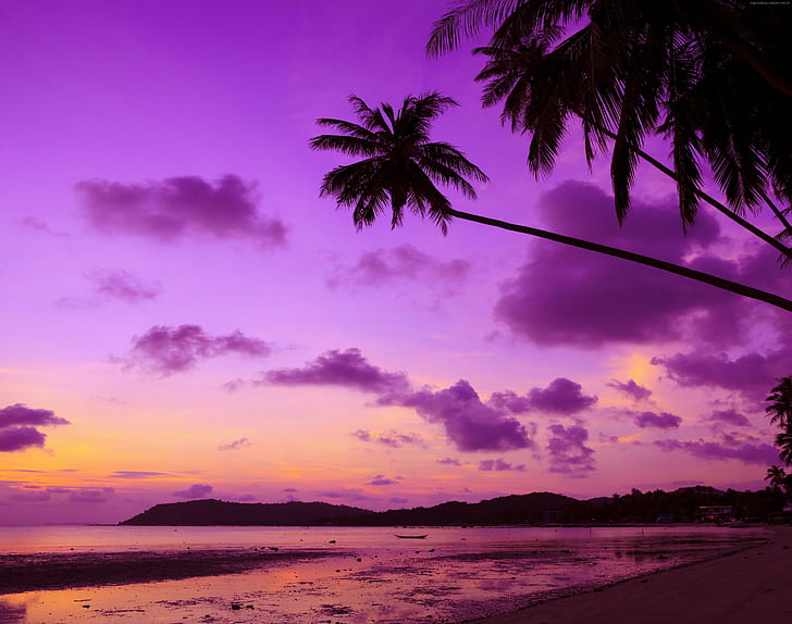 Thailand, Beach, palms, shore, sunset, Travel, tourism, ultra hd, HD wallpaper
