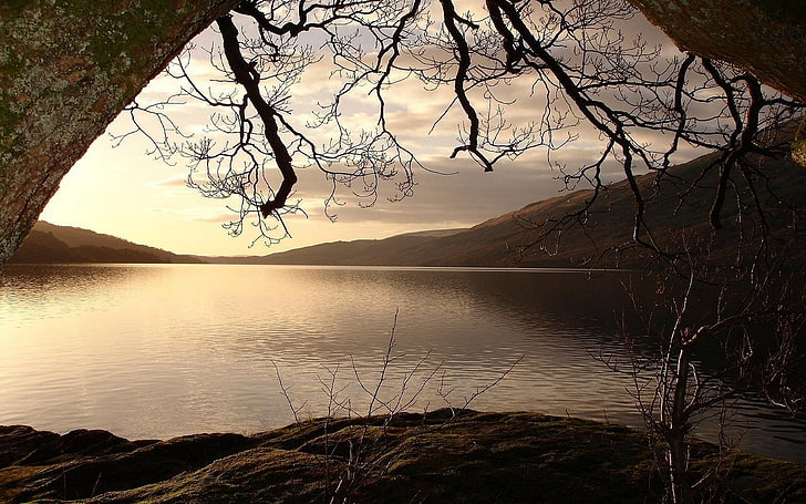 peinture d'arbre blanc et noir, paysage, nature, lac, montagnes, calme, eau, arbres, nuages, UK, Fond d'écran HD