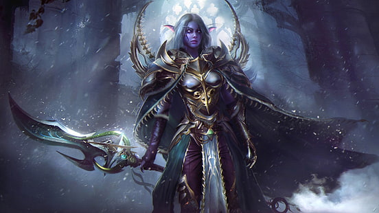 ragazza, spada, World of Warcraft, warcraft, wow, arte, armatura, elfo della notte, Sfondo HD HD wallpaper