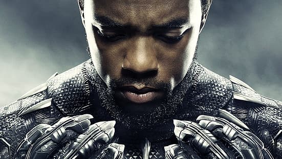Black Panther, Marvel Cinematic Universe, MCU, Wakanda, T'challa, Sfondo HD HD wallpaper