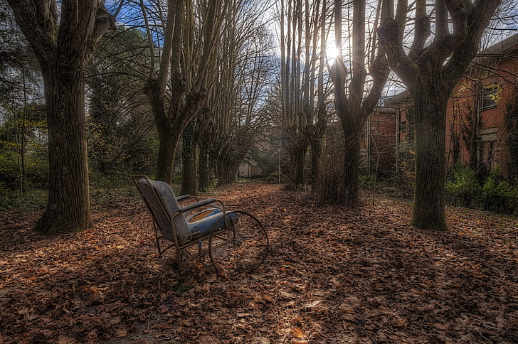 arbres, automne, maison, chaise, fauteuil roulant, Fond d'écran HD