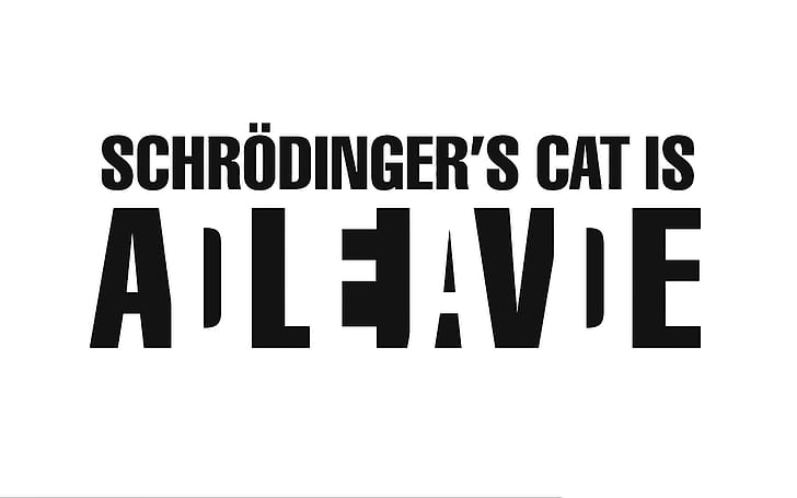 Minimalismus Typografie weißen Hintergrund Schrödingers Katze einfachen Hintergrund, HD-Hintergrundbild